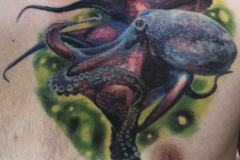 Healedoctopus_2-01